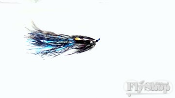 Fly of the Week | Senyo
