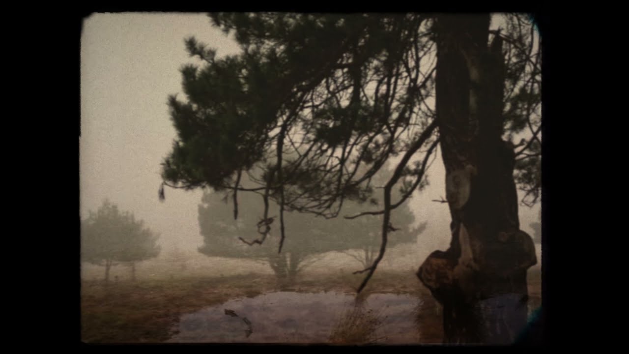 Quibus - Thinking About You Part 1 (Downtempo) Quivos