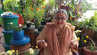 Traversing Sustainability with an Urban Farmer | Vani Murthy | TEDxRVCE