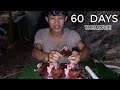 60 Day Survival Challenge In The Rainforest, survival instinct, Wilderness Alone