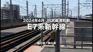 【E7系新幹線通過】2024年4月・JR埼京線武蔵浦和駅  #bullettrain #shinkansen #japan