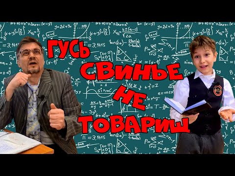 Гусь свинье не товарищ