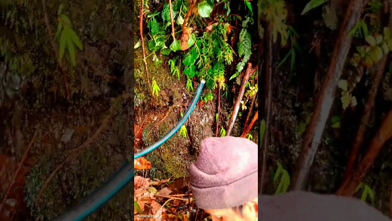 Water Scarcity 💦  || Panii Banowdai || SonamGurungG 