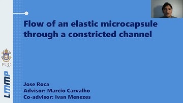 Flow of an elastic microcapsule through a constricted channel - José Francisco