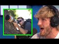 LOGAN PAUL HATES PAPARAZZI