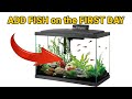 How To Add Fish Right Away To Your New Aquarium - Easy Guide