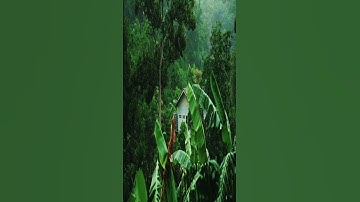 من مقاصد سورة المطففين - همسات 265