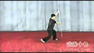 Wushu Chuji Nan Gun 初级南棍