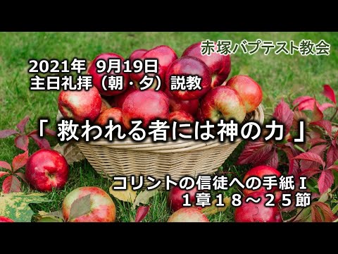 2021年9月19日（日）（朝・夕）赤塚教会礼拝説教「救われる者には神の力」コリントの信徒への手紙一1章18～25節