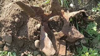 Металлоискатель тх-850.. Мы капаем метал там где его нет. #металлокоп # #metaldetecting #металл
