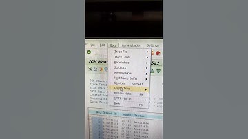 COMO DESCOBRIR AS PORTAS PARA ACESSAR O SAP FIORI E USAR NA CRIAÇÃO DE PROGRAMAS