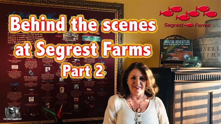 The History of the incomparable Segrest Farms