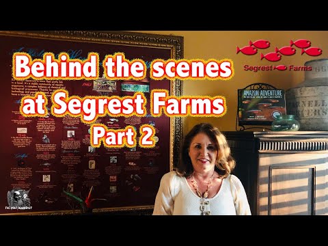 The History of the incomparable Segrest Farms