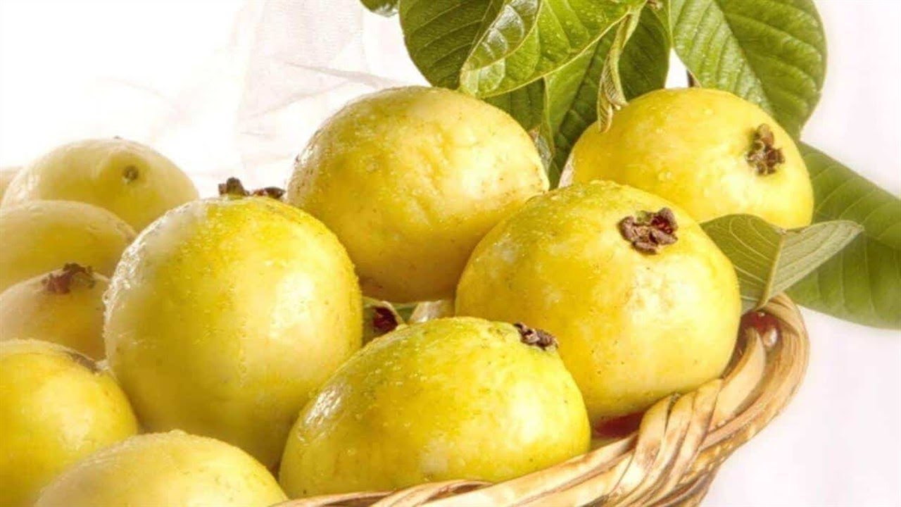 Para Que Sirve La Hoja De Guayaba Planta Medicinal Hoja De Guayaba