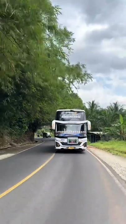 Download lagu Yang Lagi Viral Telolet Basuri Dav Musical Air Horn Kids Panda #basuri #busmania