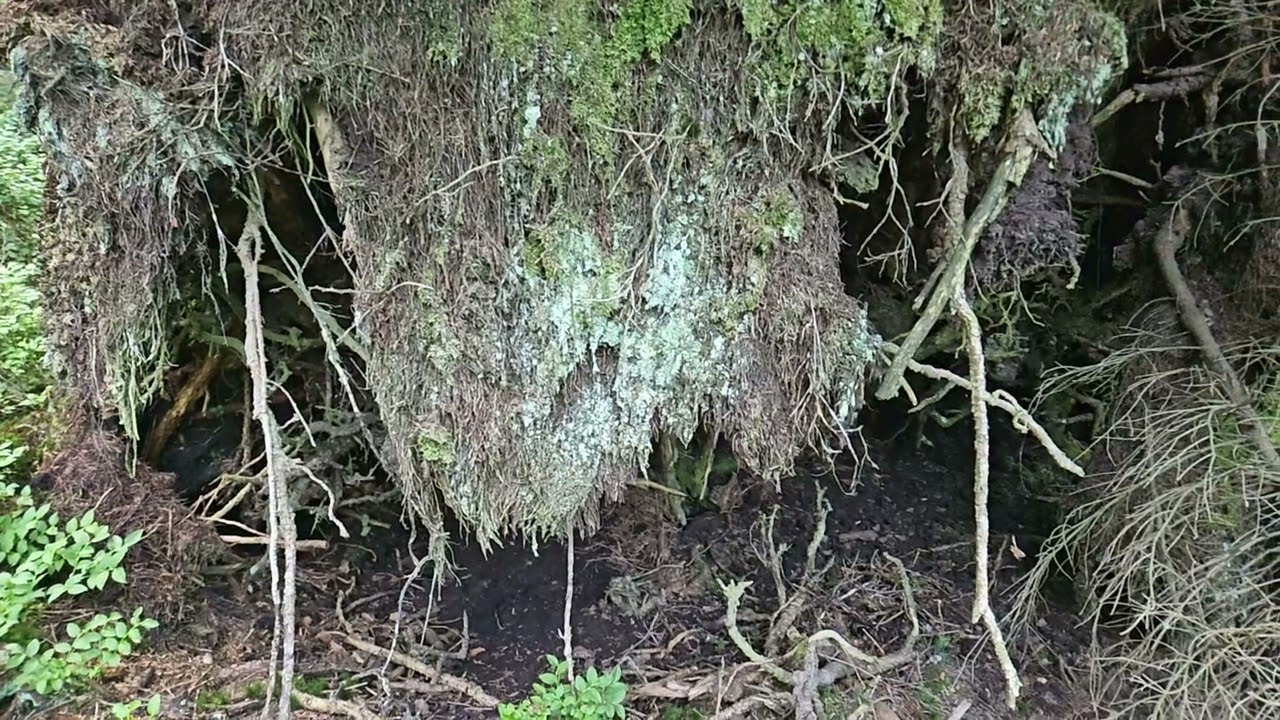 Jeseníky - Keprnický potok, Šerák, Šumárník 20.7. 2025