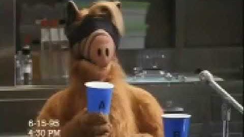 Project ALF (UK Genesis/MegaDrive Bootleg) - Continue? + Game Over Screen