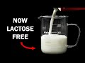 Making milk lactose free