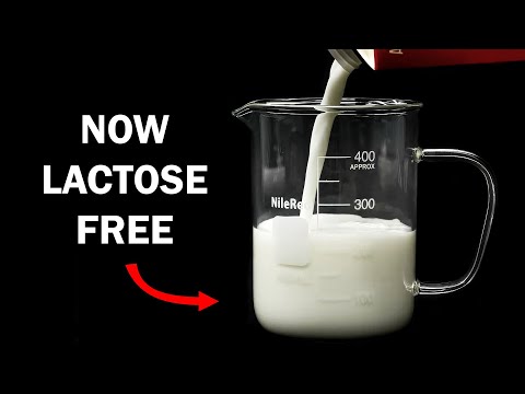 Video: Hoe wordt lactose uit melk verwijderd?