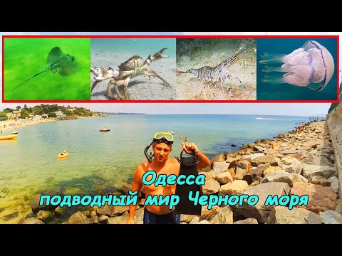 Video: Hoe Om Te Ontspan Aan Die See Van Azov