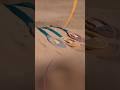 Champions Are You Ready? Dubai 2025 Asian Youth Para Games medals are here, shining for Born To Rise