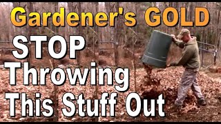 DON'T WASTE TIME GARDENING!  Simplify For Abundance. The Best Method For Success. by OFF GRID HOMESTEADING With The Boss Of The Swamp 30,032 views 4 days ago 10 minutes, 29 seconds