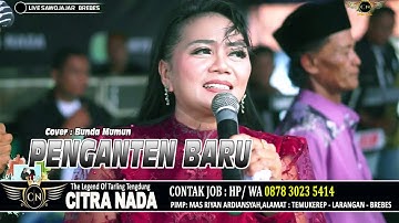 PENGANTEN BARU ~ BUNDA MUMUN || CITRA NADA LIVE DESA SAWOJAJAR || KEC.WANASARI - BREBES