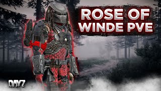 видео: DAYZ PVE | ПРОЕКТ ROSE OF WIND | НОВЫЕ ДАНЖИ  СЕРВЕРА | БОТЫ, МУТАНТЫ #3 картинка: DAYZ PVE | ПРОЕКТ ROSE OF WIND | НОВЫЕ ДАНЖИ  СЕРВЕРА | БОТЫ, МУТАНТЫ #3