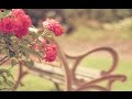 Shabby chic vintage romantic : jardins, extérieurs