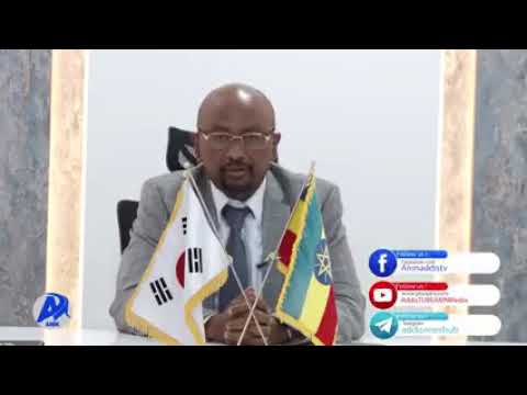 ቪዲዮ: ቶሮንቶ አዲስ የውሃ ዳር ፕሮጀክት ተቀበለ