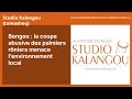 Bengou La Coupe Abusive Des Palmiers Rôniers Menace L Environnement Local Studio Kalangou