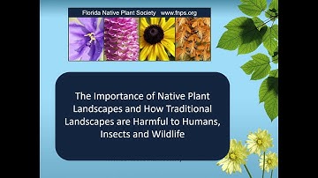 The Importance of Native Plant Landscapes with Karina Veaudry, President