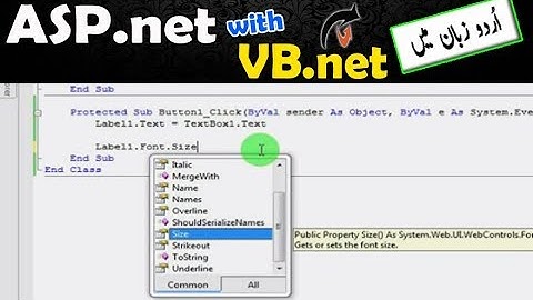 How to change label color in vb net using codes or pragmatically in Urdu/Hindi Language