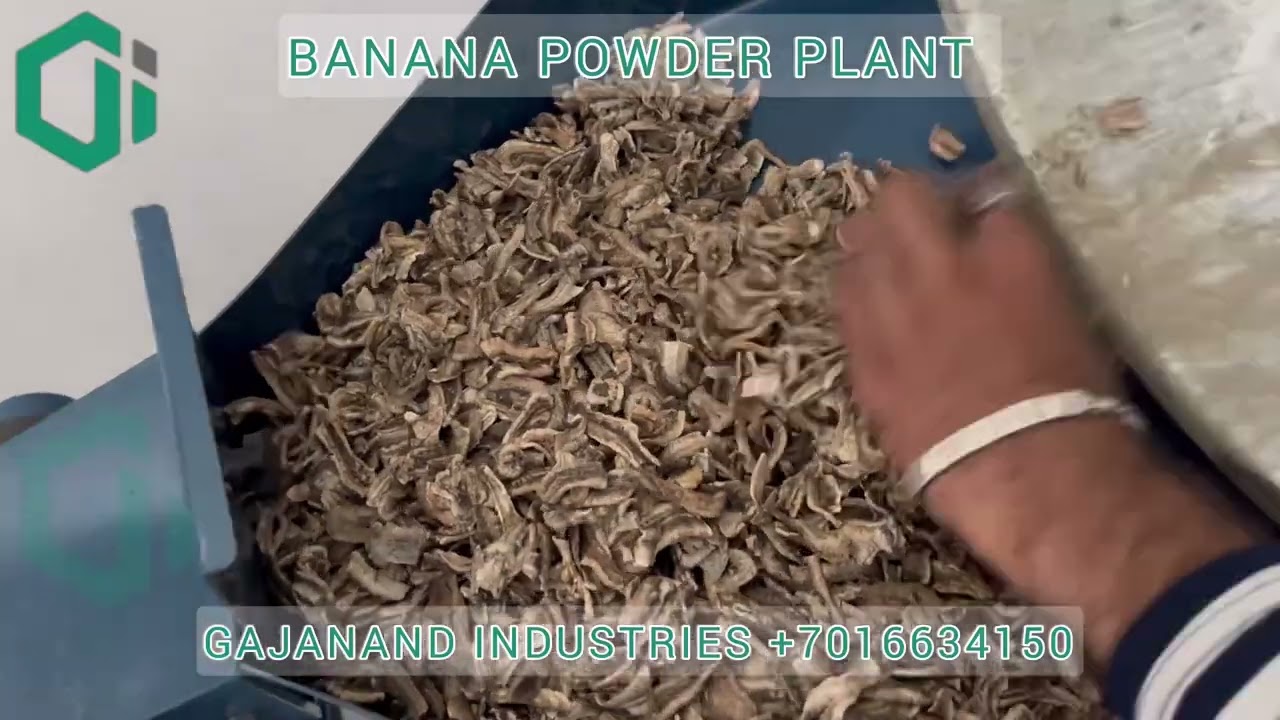 Banana powder machine | dehydrate powder ka business kaise kare | Gajanand industries