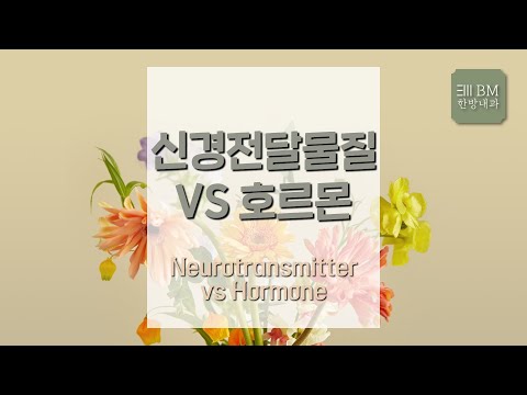 [제172회][21.3.30] 신경전달물질 VS 호르몬 Neurotransmitter vs Hormone [대구한의원 비엠한방내과]