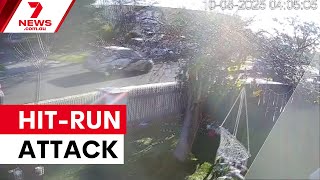 New vision shows deliberate hit-run attack | 7NEWS