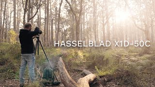 Refresh From Boranup Forest Sunrise W/ Hasselblad X1D-50c On December 2021