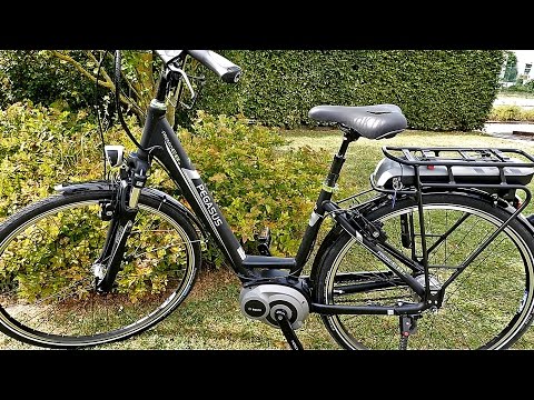 E Bike / Pedelec | Pegasus Premio E8 R mit tiefem Einstieg und Rücktritt