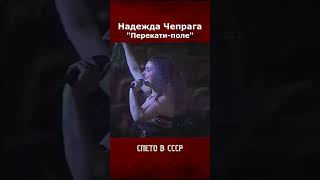 Надежда Чепрага - Перекати-поле