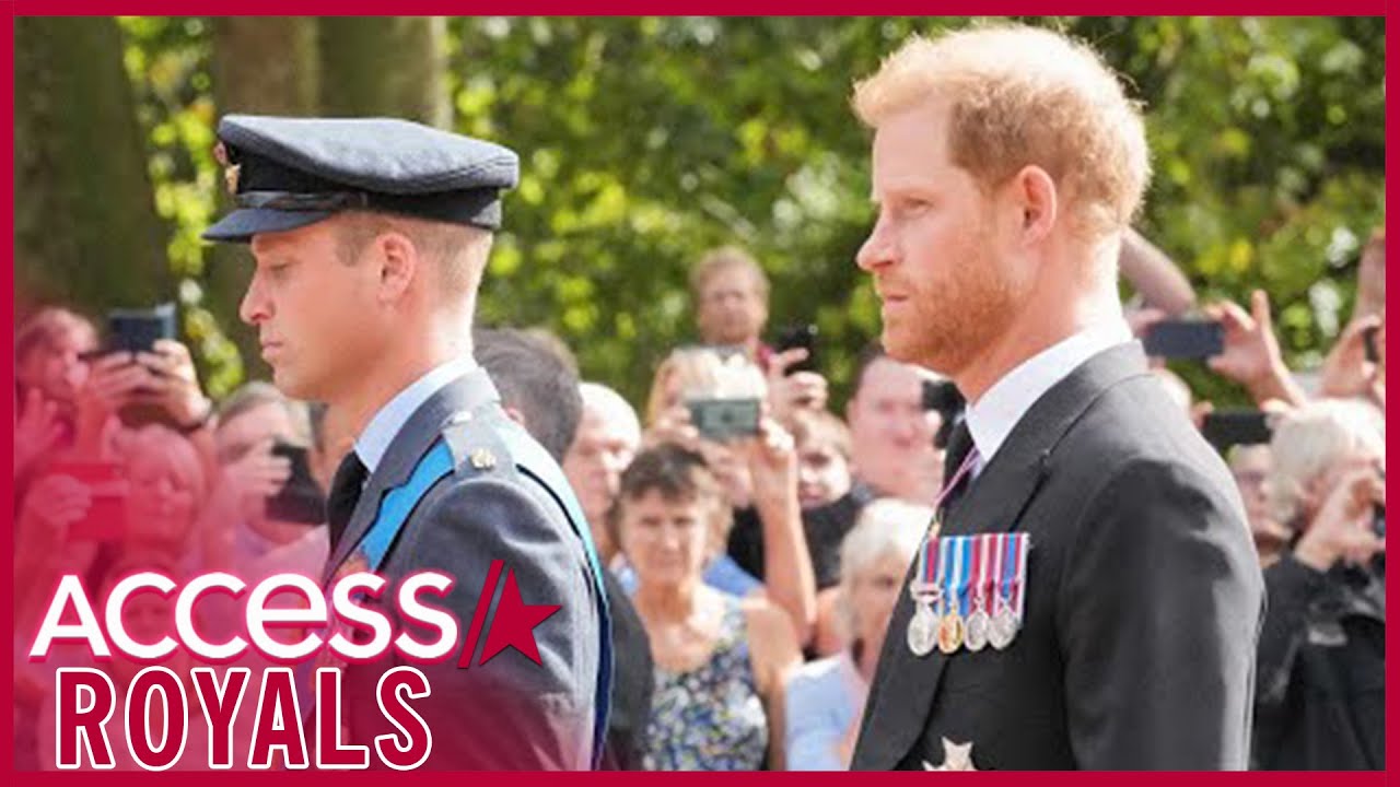 Prince William & Prince Harry Had Dinner Together Before Queen's Procession (Reports)