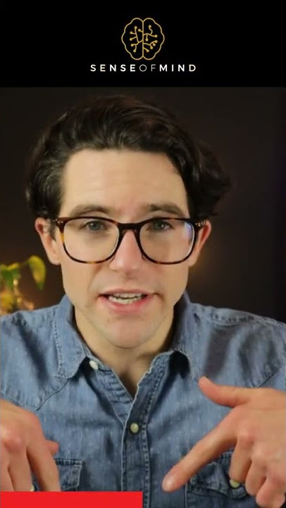 Where is serotonin made and how does it get to the rest of the brain? (Preview of full length video)