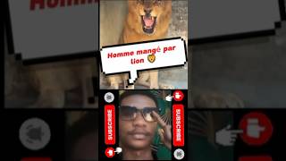 Il s'est fait mordu par un lion 🦁😱 #shorts #animals #lion #funny