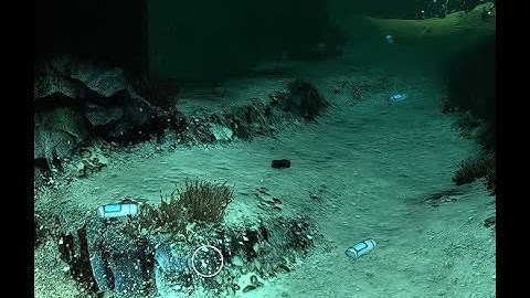 "time capsules are hard to find in subnautica"