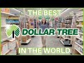 *THE BEST DOLLAR TREE IN THE WORLD!* | Shop with Me &amp; Haul | Spring 2024!