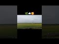 Beautiful Sunset View 🌅 | Relaxing Nature Shorts