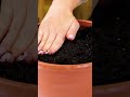 Unlock new possibilities for your garden!