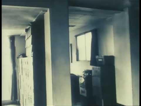Cass McCombs - All Your Dreams May Come True