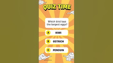 BRAIN STIMULATING GAME 🤯😍 memory test #intuitiontest #testyourskills #braingames #brainstimulation