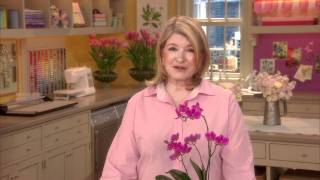 Martha Stewart  Good Things