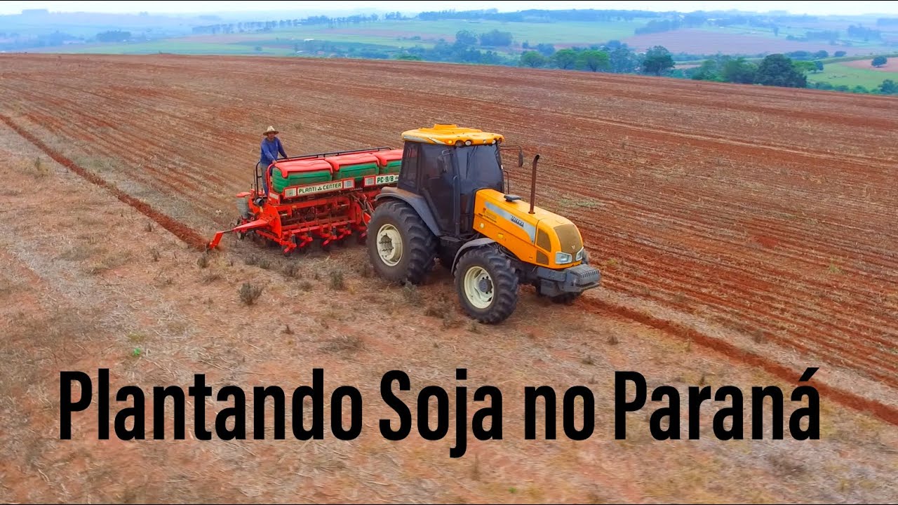 Plantio de Soja no Paraná